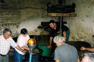 1ères vendanges b 300x200 Historique