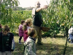 Visite scolaire Cueillette des pêches b 300x226 Les objectifs du Verger conservatoire du Vernet